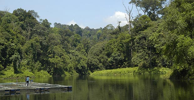 Taman Botani Negara Shah Alam (National Botanical Gardens) – Visit Selangor