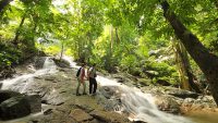 Keruing Trail, Salleh Nature Trail, Engkabang Trail, Sebasah Trail and Razak Walk are some of the main trekking routes here.
